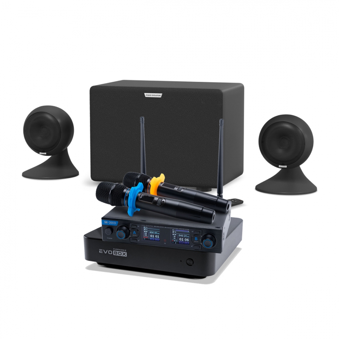 караоке-комплект EVOBOX + EvoSound Sphere 2.1 в Бронницах