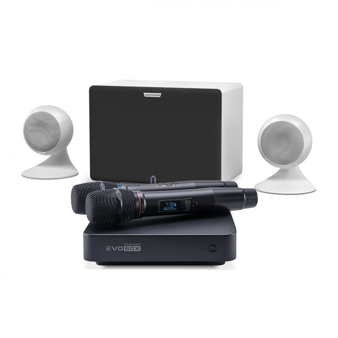 караоке-комплект EVOBOX Classic + EvoSound Sphere 2.1 в Бронницах