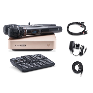 EVOBOX Classic караоке-система для дома в Бронницах
